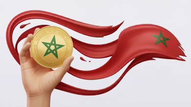 VI. دعوة للعمل: المضي قدمًا缩略图