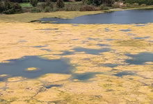 بركة مائية مهجورة وملوثة بإقامة AP 13 بالمحطة السياحية بالسعيدية تهدد راحة الساكنة و تنذر بكارثة بيئية.缩略图