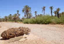 خطارات الجنوب الشرقي.. شرايين الحياة تتحول إلى فخاخ مميتة缩略图 خطارات الجنوب الشرقي.. شرايين الحياة تتحول إلى فخاخ مميتة缩略图