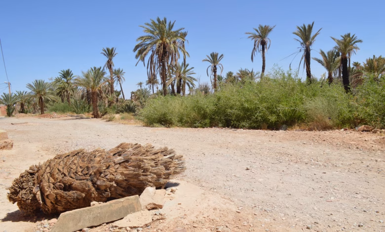 خطارات الجنوب الشرقي.. شرايين الحياة تتحول إلى فخاخ مميتة缩略图 خطارات الجنوب الشرقي.. شرايين الحياة تتحول إلى فخاخ مميتة缩略图