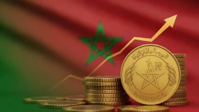 تأثير المعاشات التقاعدية على الاقتصاد المغربي缩略图