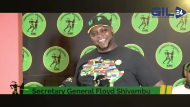 GIL24-TV GIL24 -EGYPT الشراكة الاستراتيجية بين جنوب إفريقيا والمغرب缩略图