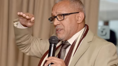 عاش الملك: طقس النجاة في دوامة السلطة缩略图