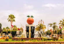 بركان تحتفي بكفاءات مغاربة العالم في الدورة السادسة لمهرجانها الوطني缩略图