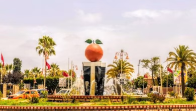 بركان تحتفي بكفاءات مغاربة العالم في الدورة السادسة لمهرجانها الوطني缩略图