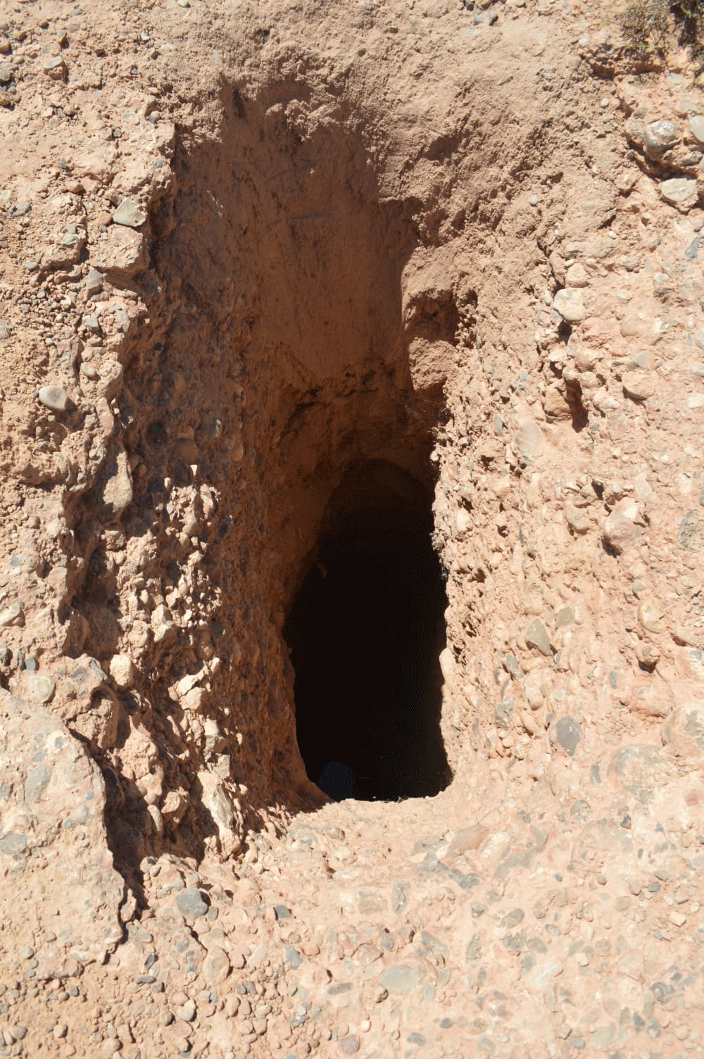 خطارات الجنوب الشرقي.. شرايين الحياة تتحول إلى فخاخ مميتة插图1