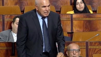 صوت المواطن.. البرلماني عمر أعنان يفتح ملفات التنمية والبلوكاج بجماعة وجدة缩略图