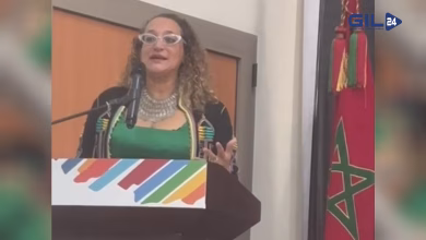 من قلب الداخلة: سناء إيفاش تؤكد على دور الكفاءات المغربية بالخارج في بناء مستقبل مشرق للوطن缩略图