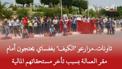 مسيرة الكرامة: مزارعو القنب الهندي في غفساي يطالبون بحقوقهم في تاونات缩略图