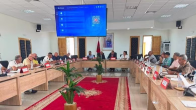 السعيدية تتحرك: دورة إستثنائية تضع ملفي النظافة والبنية التحتية تحت المجهر缩略图