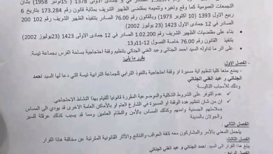 قرار منع وقفة تيسة: هل يتماشى مع الدستور؟缩略图
