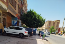 ساكنة حي الوحدة بوجدة تناشد السلطات المحلية لمعالجة احتلال الأرصفة وانتشار الكلاب الضالة缩略图