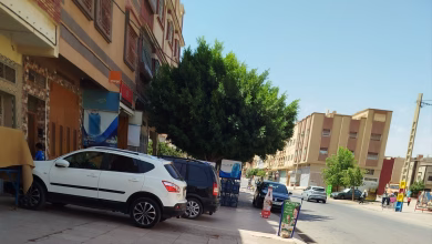 ساكنة حي الوحدة بوجدة تناشد السلطات المحلية لمعالجة احتلال الأرصفة وانتشار الكلاب الضالة缩略图 ساكنة حي الوحدة بوجدة تناشد السلطات المحلية لمعالجة احتلال الأرصفة وانتشار الكلاب الضالة缩略图