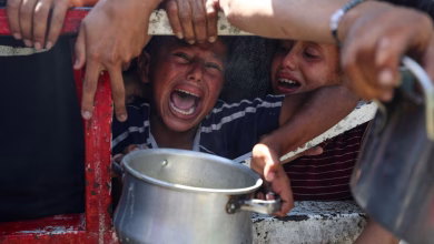 الأمم المتحدة تؤكد وقوع المجاعة في غزة: دعوات عاجلة لوقف إطلاق النار وفتح المعابر缩略图 الأمم المتحدة تؤكد وقوع المجاعة في غزة: دعوات عاجلة لوقف إطلاق النار وفتح المعابر缩略图