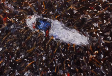 استهداف صحفيي الجزيرة في غزة.. محاولة لإسكات الحقيقة أم استهداف عسكري؟缩略图