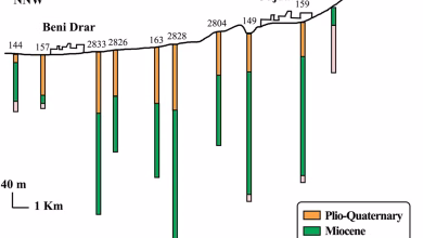 مياه جوفية ملوثة: خطر يهدد صحة الملايين في سهول أنجاد بالمغرب + دراسة缩略图