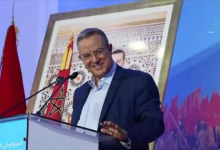 مغرب الوحدة: قوة الشعب وقائده في تخليد المسيرة الخضراء缩略图