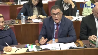 GIL24-TV فضيحة “البورصة” في الصحة: لماذا فشلت الحكومة في تفعيل الإصلاح رغم تحذيرات المعارضة؟缩略图