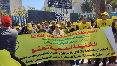 النقابة الوطنية للصحة تستنفر مناضليها لـ”إنزال وطني قوي” في مراكش 5 نونبر缩略图