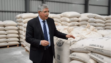 تحقيق قضائي في “طحن الورق” مع الدقيق المدعم: بين تصريحات برلمانية وردود فعل حادة缩略图