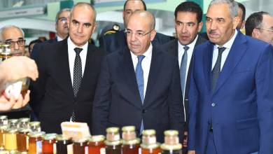 المعرض الفلاحي في نسخته الخامسة… حدث اقتصادي بارز ضمن فعاليات مهرجان الزيتون بجرسيف.缩略图