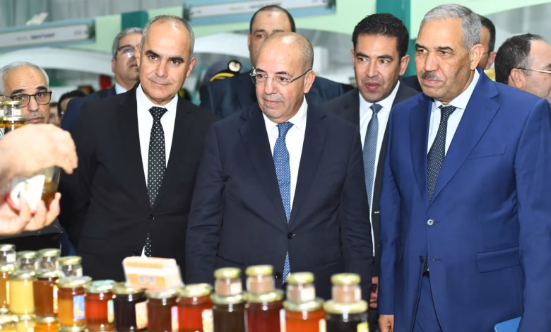 المعرض الفلاحي في نسخته الخامسة… حدث اقتصادي بارز ضمن فعاليات مهرجان الزيتون بجرسيف.缩略图