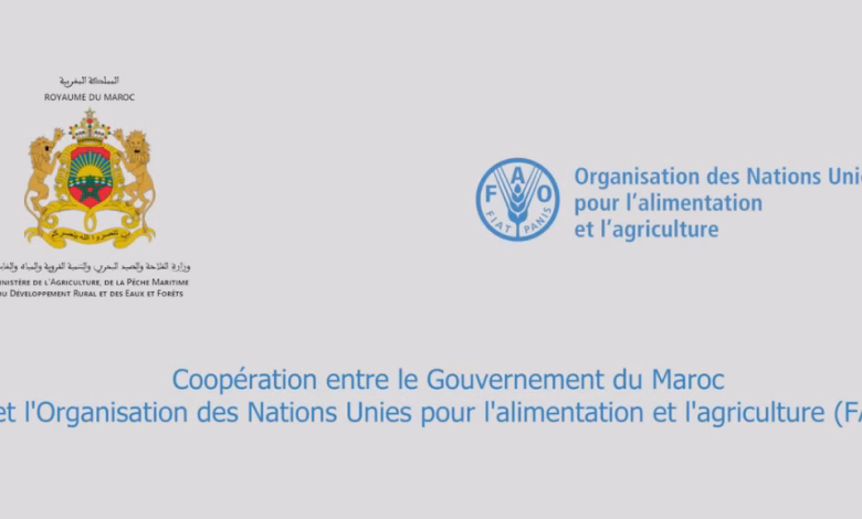 الشراكة بين منظمة الأغذية والزراعة (الفاو) والمغرب: أكثر من ستة عقود من التعاون لتحقيق الأمن الغذائي والتنمية المستدامة缩略图