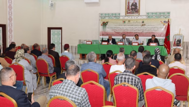 مداخلات ندوة جرسيف الوطنية تُسلط الضوء على “مسار التنمية في الصحراء المغربية”: من المسيرة الخضراء إلى النموذج التنموي الجديد ومبادرة الحكم الذاتي缩略图 مداخلات ندوة جرسيف الوطنية تُسلط الضوء على “مسار التنمية في الصحراء المغربية”: من المسيرة الخضراء إلى النموذج التنموي الجديد ومبادرة الحكم الذاتي缩略图