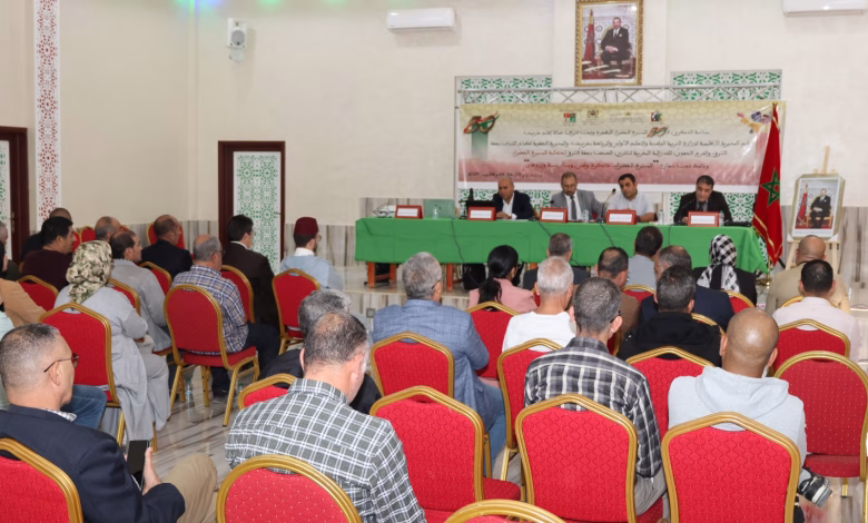 مداخلات ندوة جرسيف الوطنية تُسلط الضوء على “مسار التنمية في الصحراء المغربية”: من المسيرة الخضراء إلى النموذج التنموي الجديد ومبادرة الحكم الذاتي缩略图