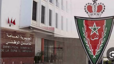 حصيلة المديرية العامة للأمن الوطني لسنة 2025.缩略图