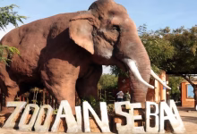 حديقة عين السبع: استثمار ضخم وأسعار مثيرة للجدل… هل ستراجع عمدة المدينة الأسعار؟缩略图 حديقة عين السبع: استثمار ضخم وأسعار مثيرة للجدل… هل ستراجع عمدة المدينة الأسعار؟缩略图