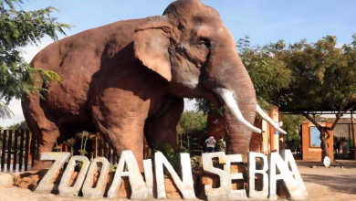 حديقة عين السبع: استثمار ضخم وأسعار مثيرة للجدل… هل ستراجع عمدة المدينة الأسعار؟缩略图