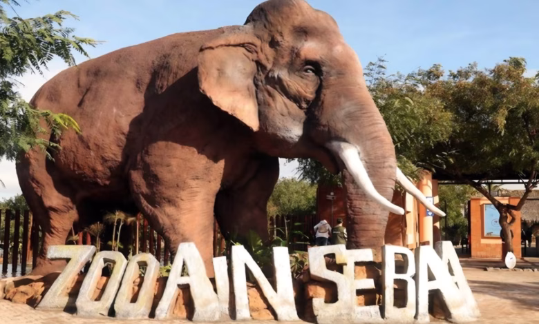 حديقة عين السبع: استثمار ضخم وأسعار مثيرة للجدل… هل ستراجع عمدة المدينة الأسعار؟缩略图