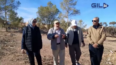 GIL24-TV اليوم العالمي للتطوع: “كارثة” سيدي معفا! قنّينات وأزبال المواطنين تُدمي القلب في المنتزه الوحيد!缩略图