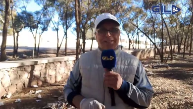 GIL24-TV “يا حسرة على تلك الثقافة”: غياب الطيور والسانيتير في منتزه سيدي معفا ونداء لترميم المهارات الحياتية!缩略图