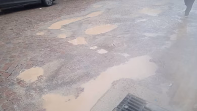 بلاغ شركة وجدة للتهيئة: “تتبع تقدم أشغال تهيئة شارع مراكش”.缩略图