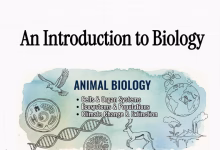 GIL24-TV The Machinery of Life: From Microscopic Cells to Global Ecosystems缩略图