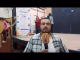 GIL24-TV لحظات الوفاء والتقدير: كواليس ونجاح اليوم التربوي الإشعاعي بمدينة تويسيت缩略图