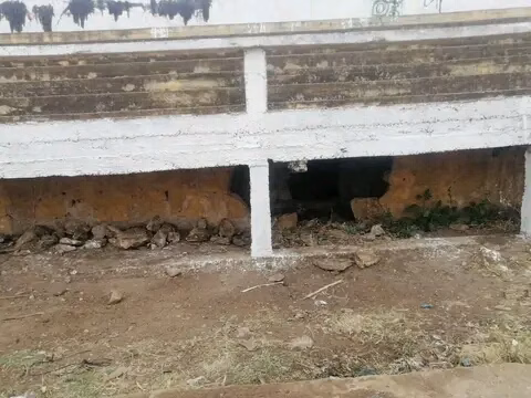 الغربية: حين يذبل ملعب الأحلام插图3 الغربية: حين يذبل ملعب الأحلام插图3