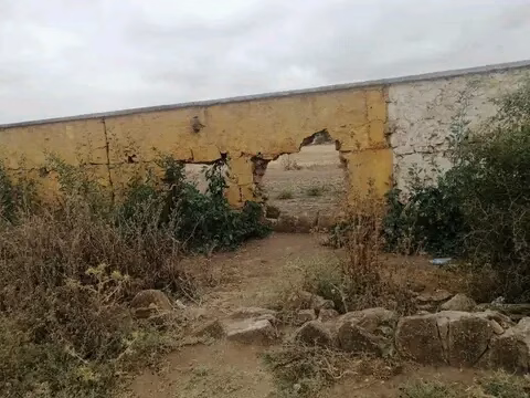 الغربية: حين يذبل ملعب الأحلام插图8 الغربية: حين يذبل ملعب الأحلام插图8