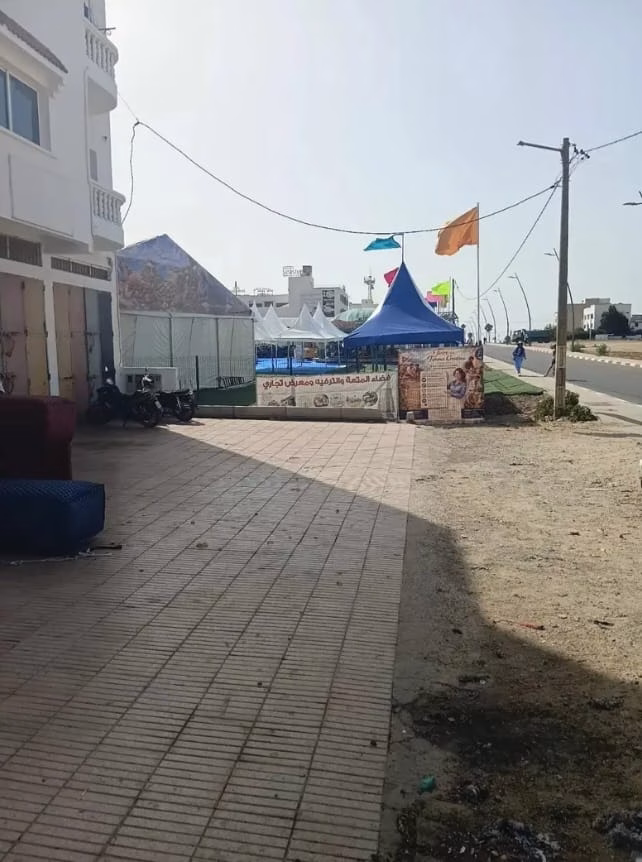مكان إقامة الالعاب الترفيهية بالوليدية يفتقر إلى التجهيزات الضرورية ويعاني من خطر الزواحف السامة插图