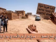 الصورة رمزية فقط
