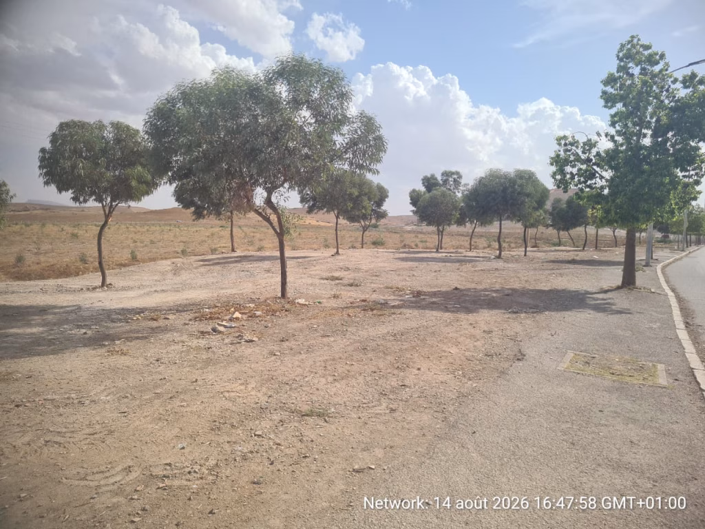 شركة SOS تتدخل لتنظيف مدخل حي السمارة بوجدة وتدعو المواطنين إلى التحلي بالمسؤولية插图 شركة SOS تتدخل لتنظيف مدخل حي السمارة بوجدة وتدعو المواطنين إلى التحلي بالمسؤولية插图
