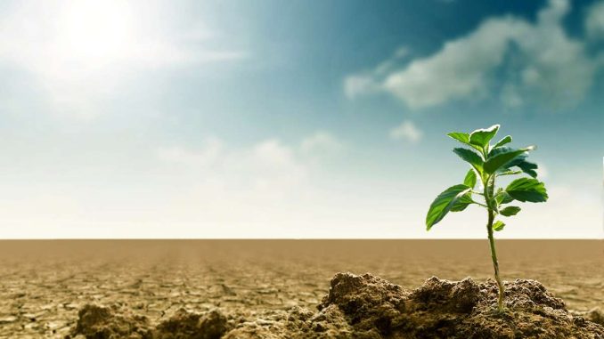 changements climatiques et l’adaptation