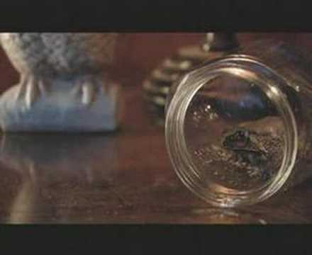 Nizlopi – Girls