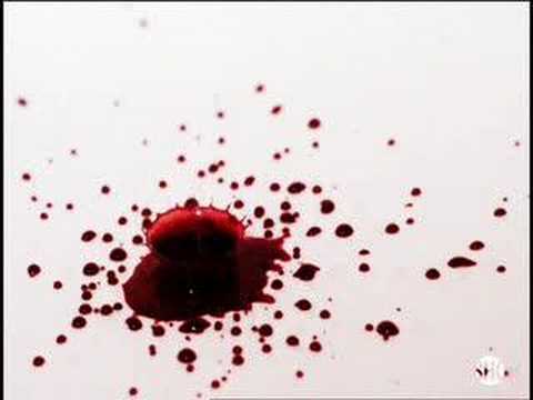 Dexter: Pig’s Blood Music Video