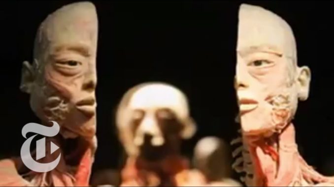 China Turns Out Mummified Bodies for Displays | The New York Times