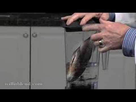 Will It Blend? – Tilapia-O-Matic