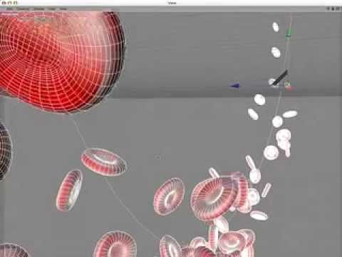 Building Blood Flow in Cinema 4D