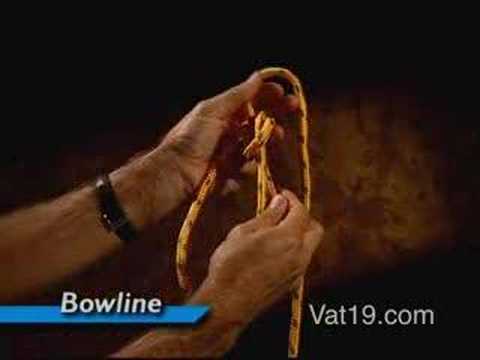 Eight most useful knots